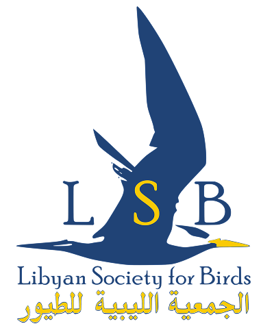 lsb logo full