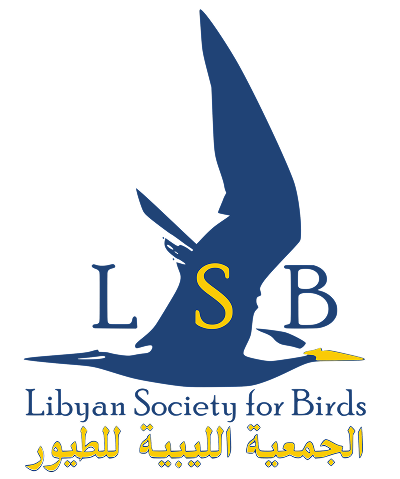 lsb logo full